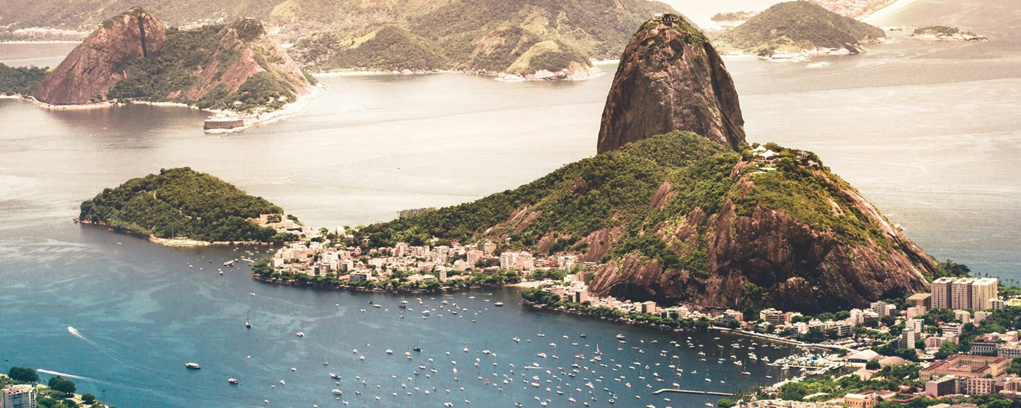 More in Common Brazil 