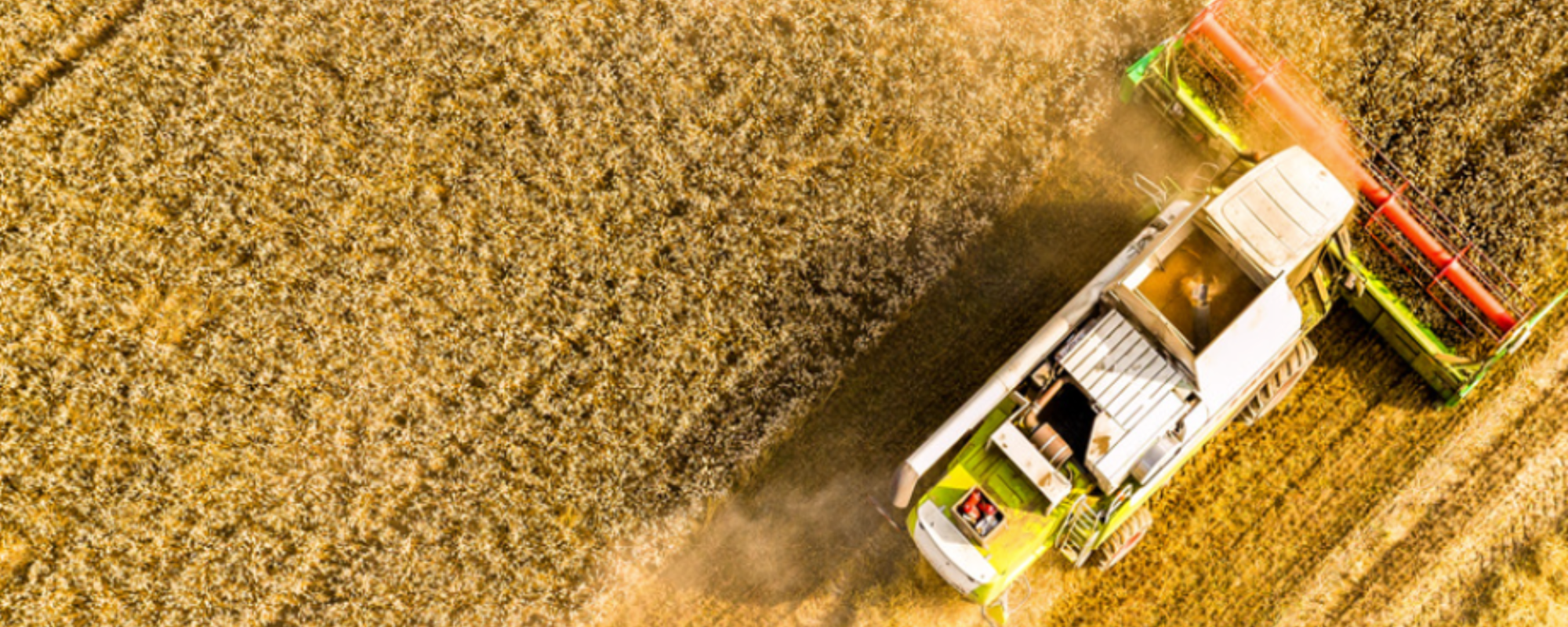 Spanish society's perceptions on agriculture and food 