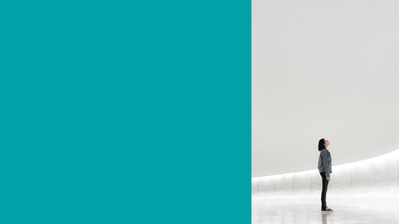 Understanding Americans’ Views on AI