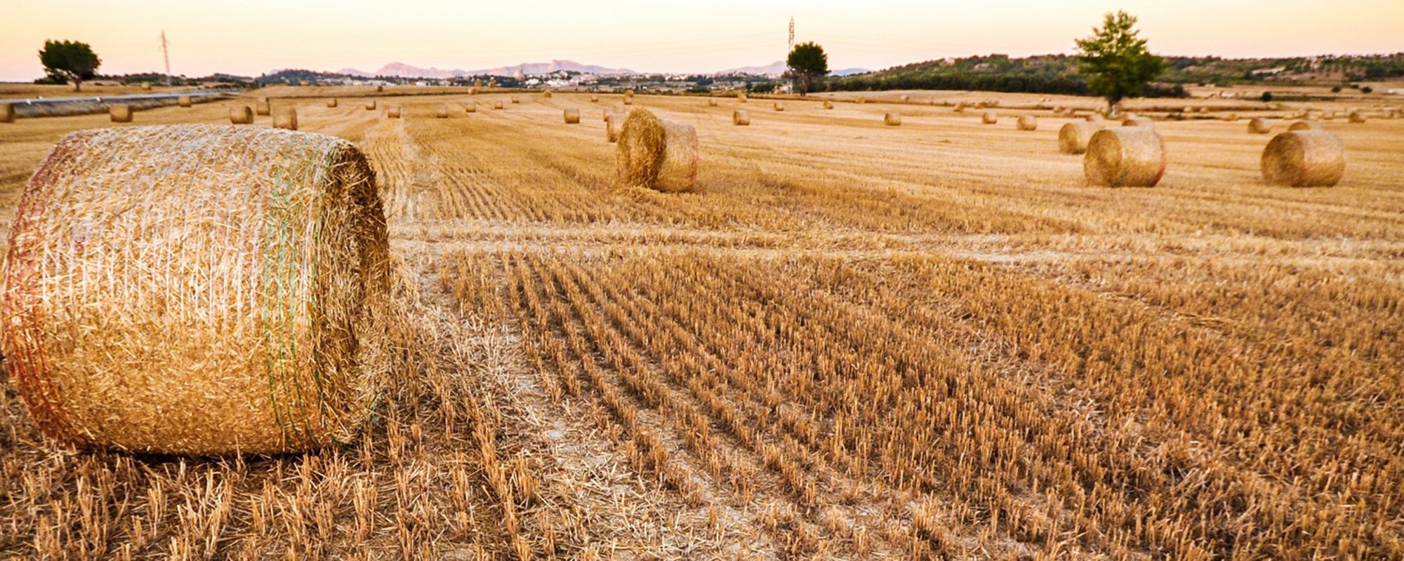 Europe Talks Farming