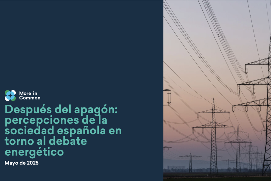 Captura De Pantalla 2025 06 01 A Las 9.36.51